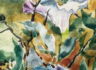 Sudi-carousel image_crop