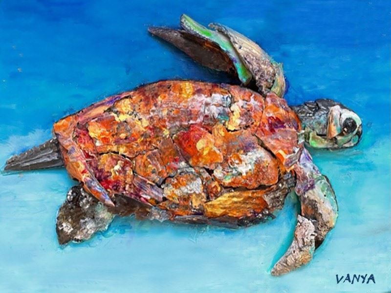 Vanya_turtle_9.27.23